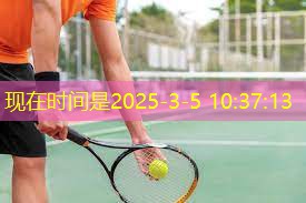 乒乓球台不带架可以吗