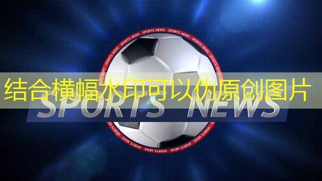 室内健身吊杠