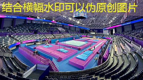 室内健身塑形操