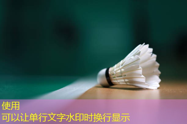 女生健身房器材怎么练