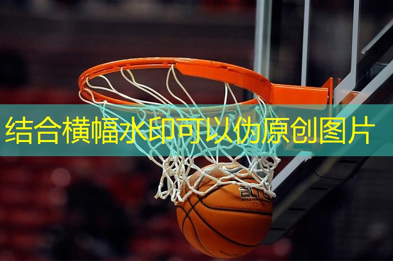 实心球 增强平衡和稳定性的瑜伽辅助装备