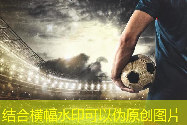 室内健身器材那个好
