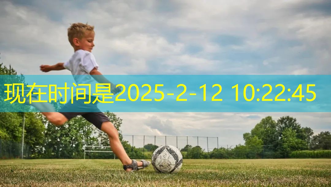幼儿篮球拍球器材训练