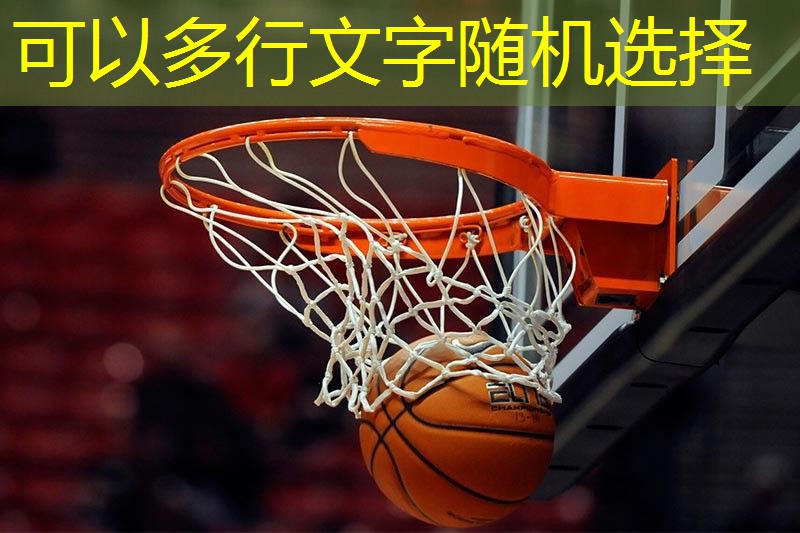 室内移动乒乓球台